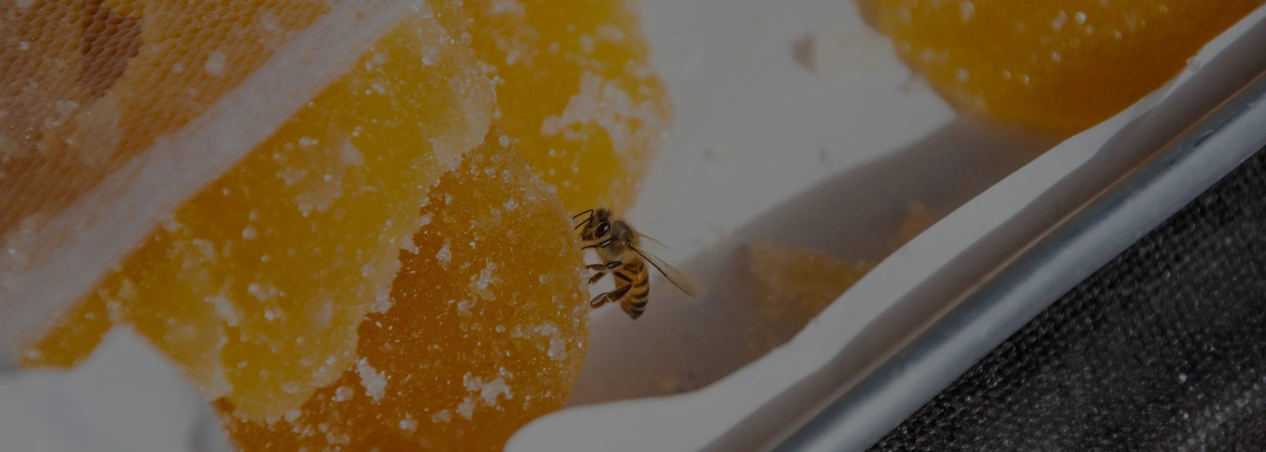 Albina zburand pe un stup de albine, adunand nectar pentru a produce lăptişorul de miere.